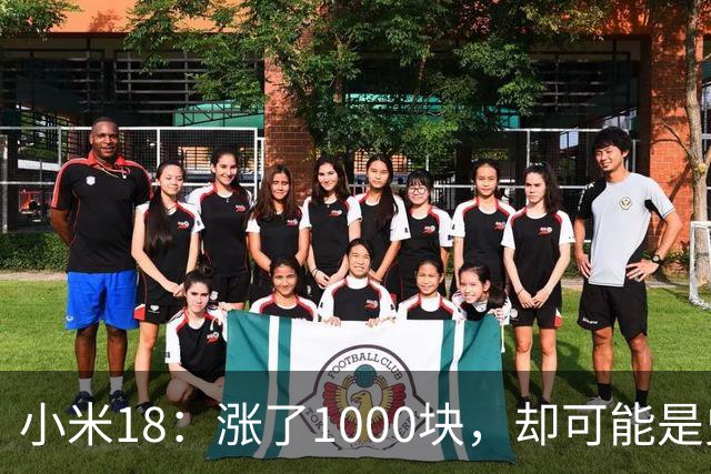 小米18：涨了1000块，却可能是史上最“值”的小米